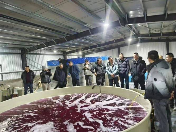 业务覆盖工厂化循环水养殖装备生产,水产物联网设备生产和信息化技术